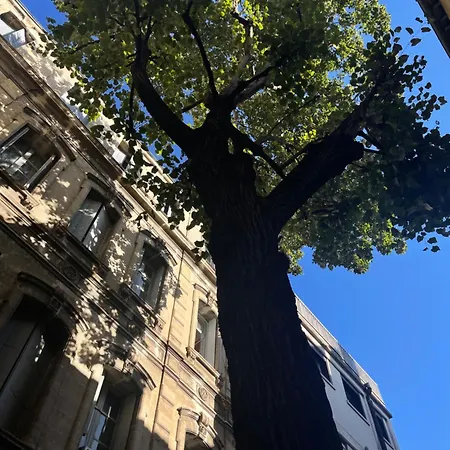 Riad Versailles 몽펠리에